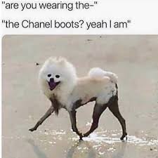 Style Advice For Short Men Feat The Modest Man Style Girlfriend Funny Animal Memes Funny Dog Memes Funny Memes