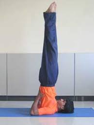 Welcome To Yoga Point