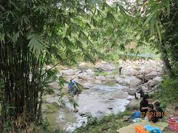 Address, phone number, kuala woh recreational forest reviews: Kuala Woh Recreational Forest Tapah Aktuelle 2021 Lohnt Es Sich Mit Fotos