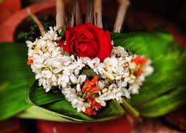 Maybe you would like to learn more about one of these? Ashtanga Yoga Montclair Yoga For Your Life