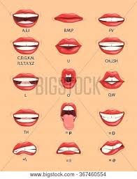 I added the th and y sound. Lip Sync Phoneme Vector Photo Free Trial Bigstock