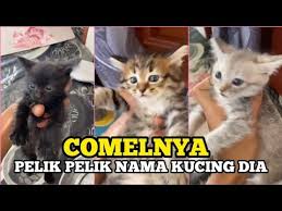 Santet seringkali dikaitkan dengan aura negatif atau ilmu hitam yang baisanya dikirimkan untuk mencelakai seseorang. Mantap Nama Kucing Brader Ni Kaji Semula