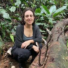 Image result for Isoberlinia doka