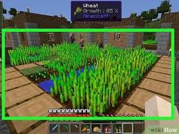 How To Make A Business On A Minecraft Server With Pictures