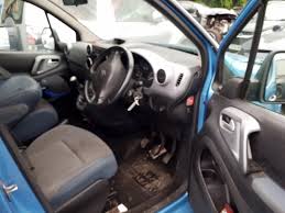 Image result for Brun Guaranja 2011 Citroen