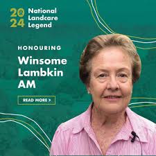 🌟 Meet Winsome Lambkin OAM, a true Landcare legend! 🌟 For decades,  Winsome has championed environmental stewardship in Queensland's Burnett  region, bringing people together to protect and regenerate natural  landscapes. 🌱💧 Her