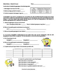 A treasure turns into a terror in spongebob squarepants: Punnett Square Spongebob By Encouraging Learning Tpt