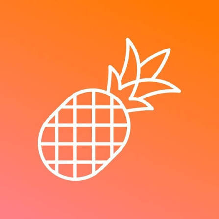 Pineapple Builder