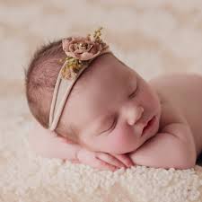 Michele Bird Photography