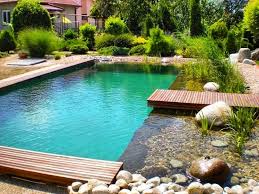 Ecooca Lago Ornamental No Instagram Voce Ja Ouviu Falar Em Biopiscina Biopiscina Bioconst Natural Swimming Ponds Natural Swimming Pools Swimming Pond