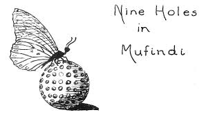 Image result for Radinosiphon leptostachya