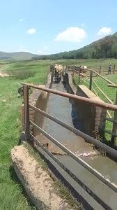 Image result for dip vat