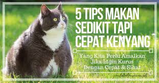 Belakangan ini, semakin banyak makanan dan minuman kekinian yang menggoda selera. 5 Tips Makan Sedikit Tapi Cepat Kenyang Yang Patut Kita Amalkan Jika Ingin Kembali Kurus