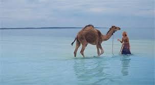 This afro canadian etheopian kid. Tracks The Incredible Trek Of Robyn Davidson On A Map Trek The Incredibles Robyn Davidson