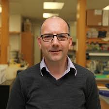 Signaling Dynamics and Encoding