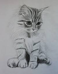 Friday Art Cat The Pencilled Kitten Katzenworld Kitten Drawing Cat Art Cat Sketch