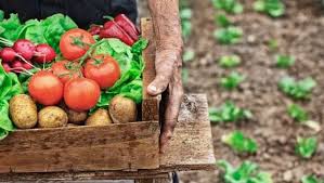 World Health Day 2020 4 Health Benefits Of Switching To Organic Food Ndtv Food