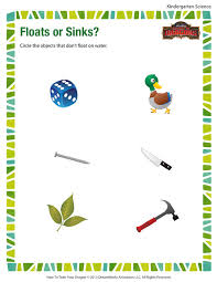 floats or sinks kindergarten kids