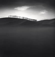 Black And White Landscape Photos For Sale Michael Kenna Hilltop Trees Study 2 Hokkaido Black And White Landscape Photograph Black White Landscape Landscape Photos Landscape