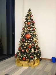 We did not find results for: Christmas Tree Decorating And Party Nights And Shop Flowers Lily Jones Flowers