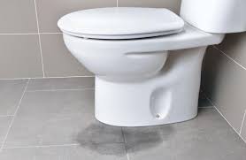 Mechanical damage caused to the supply line can also cause leaking. How To Fix A Toilet That Leaks Around The Base Old Farmer S Almanac