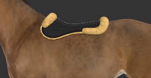 Spunta i prodotti per aggiungerli al carrello o seleziona tutto. Agnellino Mattes Correttivo Equestrian Roma Vendita Articoli Equitazione Roma