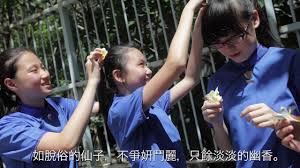 See more of 英華女校政改關注組 on facebook. è‹±è¯å¥³å­¸æ ¡ywgs é›žè›‹èŠ±æ¨¹çš„æ•…äº‹ Youtube