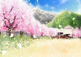Anime Scenery Sakura Trees Anime Scenery Wallpaper Anime Cherry Blossom Anime Scenery