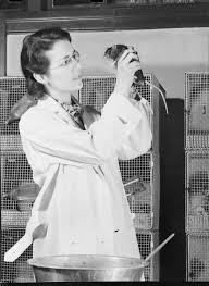 Norman Maier — Google Arts & Culture