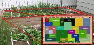 An Awesome 72 Square Feet Shtf Medicinal Garden Plan Ask A Prepper Garden Planning Medicine Garden Herbal Plants