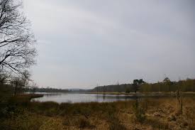Een klein stukje buiten veenendaal bij overberg zetten we de auto neer. Datei Utrechtse Heuvelrug Leersumse Veld Jpg Wikipedia
