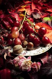 Grapes Fruits D Automne Recolte D Automne Automne