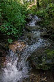 Pin Von Romantik Hotel Platte Auf Das Sauerland Hier Leben Wir Sauerland Winterberg Sauerland Schone Orte