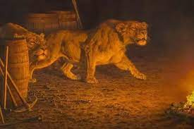 Dos leones machos responsables de una matanza terrible en 1898 que se cobró la vida de al menos 35 personas y según otros registros pudieron llegar a matar a más de 135. La Verdadera Historia De Los Leones De Tsavo