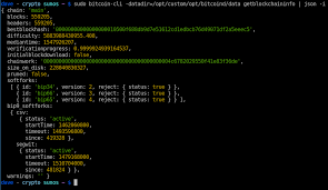 Here is how you can run bitcoin core daemon and see its command line options Running A Bitcoin Full Node On Smartos Dave Eddy