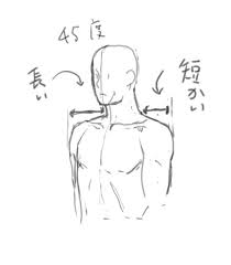 お絵かき研究 肩の描き方 斜め45度 ペットボトルロケットロール 描き方 輪郭 描き方 アニメベース