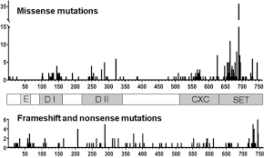 Sell custom creations to people who love your style. Mutational Mechanisms Of Ezh2 Inactivation In Myeloid Neoplasms Leukemia
