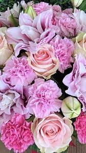 Maybe you would like to learn more about one of these? Wholesale Flowers In 2021 Wholesale Flowers Online Wedding Flowers Wholesale Fresh Flowers