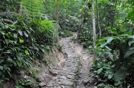 Bukit kiara is a popular place for outdoor lovers. 9 Local Hiking Trails Waiting To Be Explored By Curious Adventure Seekers