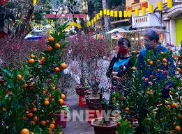 Chợ hoa Hàng Lược năm nay có gì mới lạ?