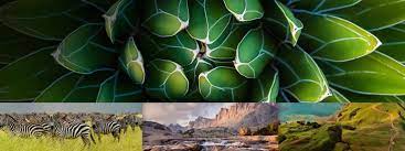 Explore The World One Photo At A Time Bing Wallpaper Wallpaper App New Backgrounds Photo