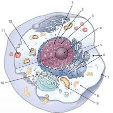 We did not find results for: Exercise Medical Terminology 78 Steps Health