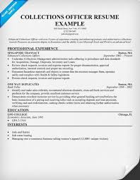resume objective examples