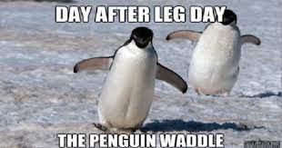 Find the newest penguin meme meme. 15 Down Right Hilarious Penguin Memes I Can Has Cheezburger