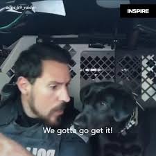 Randy The Police Dog