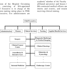 Organizational Chart Of Princess Diana Hospital Download