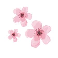 Cherry Blossoms Pink Sticker By By Invite Only For Ios Android Giphy Horizontal wind with cherry blossom petals free stock video footage. cherry blossoms pink sticker by by