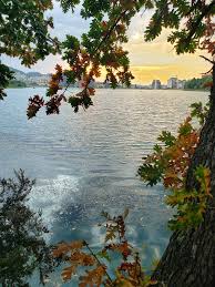 Lake Of Tirana In 2020 Photo Lake Tirana