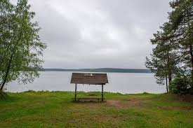 Plaża miejska augustów is situated east of borki. Zapraszamy Do Konsultacji Ws Dzierzawy Plazy Rowki Aktualnosci Nadlesnictwo Augustow Lasy Panstwowe