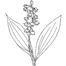 À toutes et tous qui passeront sur mon blog ce jour. Coloriage Brin De Muguet En Ligne Gratuit A Imprimer